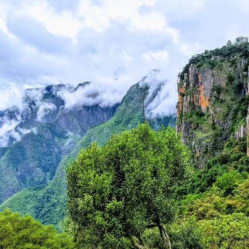 Kodaikanal